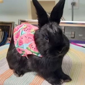 Meet your Posher, Katrina